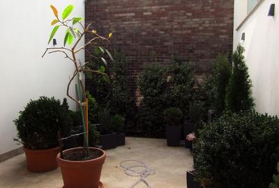 Zero comision, 420mp vila birou - comercial, Eminescu, 8' metrou - 11