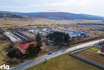 Teren de 39600 mp, în Traian - 8