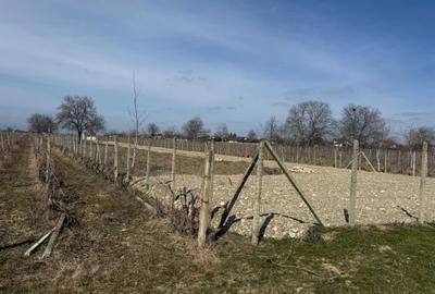 Teren de 4000 mp, în Câmpineanca - 1