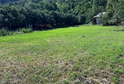 Teren de 3026 mp, în Gârcina - 3