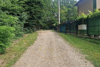 Teren agricol extravilan de 12421 mp, în Big-Bascov - 2