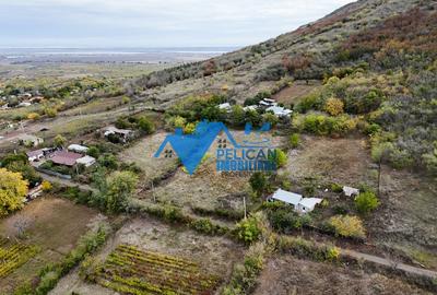 Teren intravilan NICULITEL, zona deosebita, 3044MP - 8