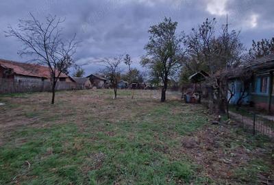 Inchiriez casa sat Gurbanesti, judet Calarasi Pret 1000 Ron lunar - 7