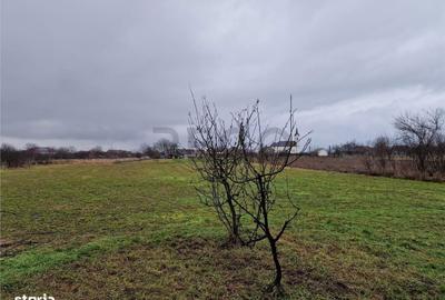 Casă cu 4 camere cu Teren 4600 Mp în Gepiu - 5