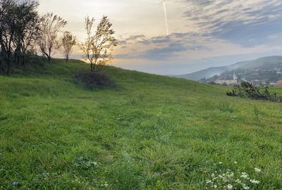 Teren intravilan de vânzare - ideal pentru construcția casei tale! - 4