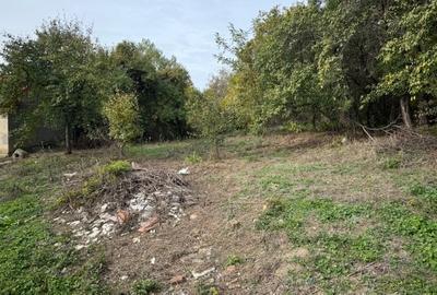 Teren Construcții intravilan de 2644 mp, în Viișoara - 8