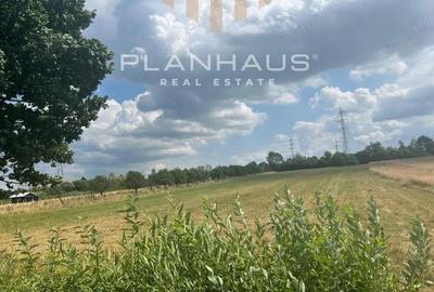 Teren extravilan Vrancei ,Baia Mare,Satu Nou de Sus 3600 mp - 1