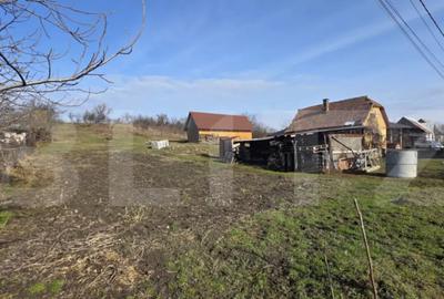 Casă cu 2 camere în Central - 2