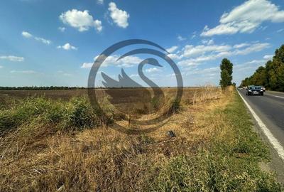 Teren extravilan de vanzare | 9882mp | Berceni - Prahova | Comision 0% - 4