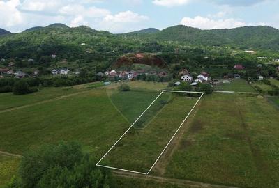 NOU - TEREN DE VANZARE - Cicarlau - 4