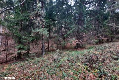 Teren de 2500 mp, în Central - 2