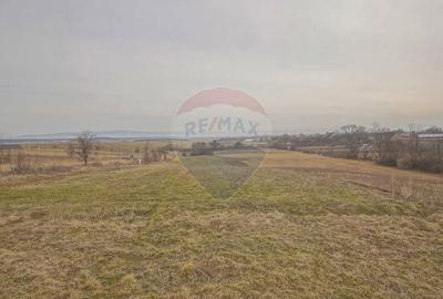 Casă cu Canalizare în Crizbav - 9