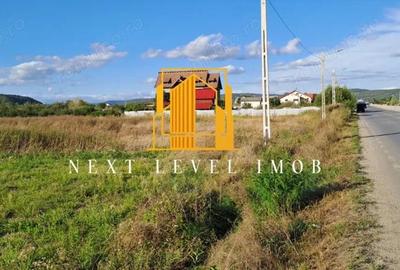 Teren Comna Micesti, sat Purcareni - 2