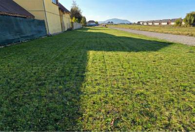 Teren construcție, în Griviței - 3