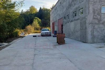 Spațiu comercial, de 150 mp, în Băuțar