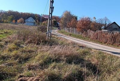 Teren agricol extravilan de 4000 mp, în Dragomirna - 5