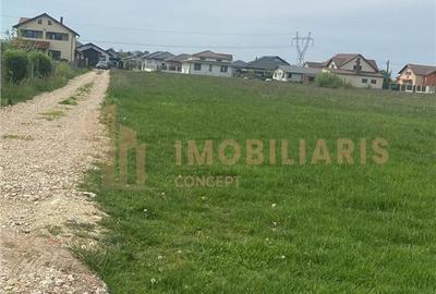 Teren de 800 mp, în Coltău - 3