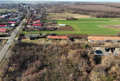 Teren Construcții intravilan de 70291 mp, în Micșunești-Moară - 24