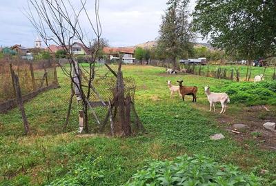 Casă cu 3 camere în Vidrasău - 5