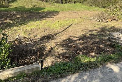 Spațiu comercial, în Central - 5