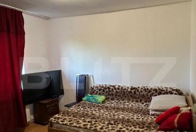 Apartament 2 camere decomandat in zona linistita - 13