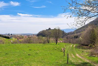 Terende vinzare in Cisnadioara 26800mp