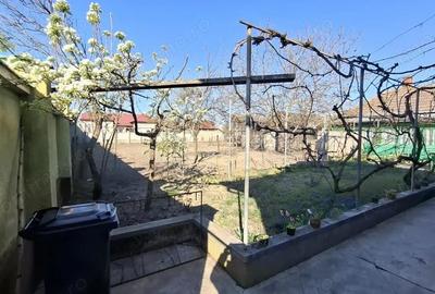 Casă cu 6 camere cu Teren 2095 Mp în Nădlac - 18