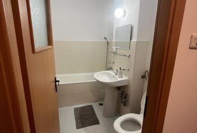 Garsoniera cartier Brancusi, Dr. Taberei, mobilata si utilata complet - 6