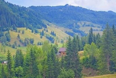 Spațiu comercial, în Pojorâta - 6