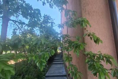 Urgent ocazie investitie casa 400mp+spatii comerciale, rezi Urgent ocazie investitie casa 400mp+spatii comerciale, rezi - 11