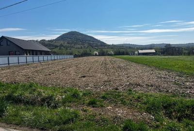 Teren de 5600 mp, în Ideciu de Jos - 1