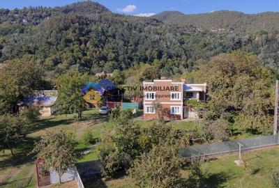 Casa traditionala de vanzare - Alexandru cel Bun- view spre munte si lac - 8