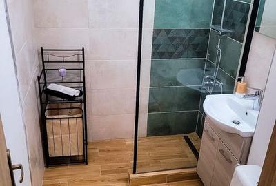 Casă individuală cu 1 camere cu Teren 40 Mp în Drumul Taberei - 4