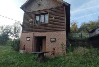 Vand casa zona linistita - 4