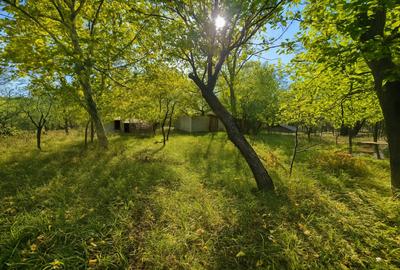 Casă tradițională într-un peisaj de vis – Vâlcănești - 30