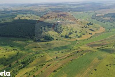 Teren de 3000000 mp, în Bârghiș - 1