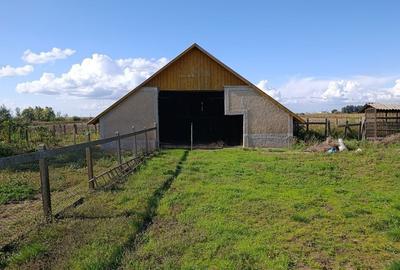 Casă cu 4 camere în Horea - 3