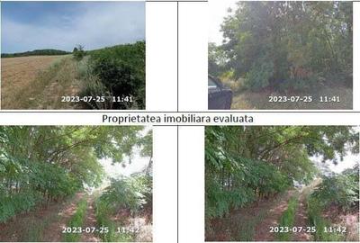 Teren padure, cota de 1/48 Horgesti, ID: R2325871 - 3