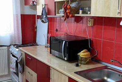 Apartament cu 2 camere semidecomandat în Valea Călugărească - 4
