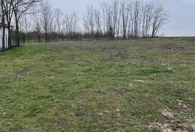 Teren de 4000 mp, în Central - 3