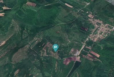 Teren agricol extravilan de 1950000 mp, în Cincu - 4
