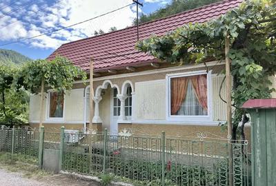 Casă cu 4 camere cu Teren 1650 Mp în Ferestrău-Oituz - 9