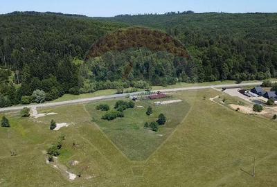 Teren 5,561mp Paltinoasa / Strada principala - 13