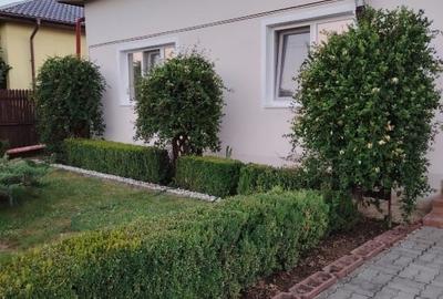 Casă de vânzare Dragomirești, Dâmbovița - 2
