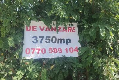 Teren în Mihăești - 2