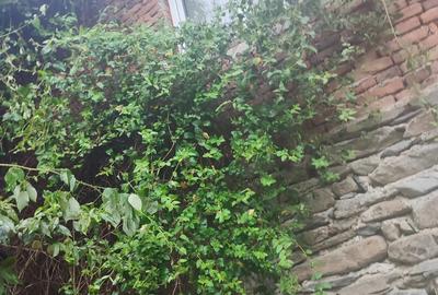 Casa de vanzare comuna Brusturi judet Arad - 5