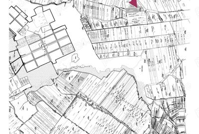 Arenda 18 ha teren arabil Darova, jud. Timis *disponibil din noiembrie pe 1 an, de la proprietar* - 6