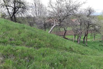 Teren de 1017 mp, în Arpașu de Sus - 4