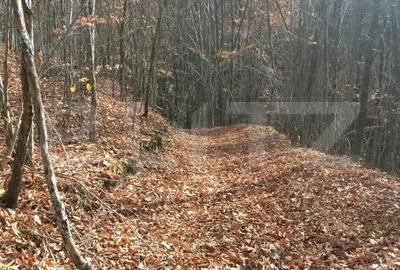 Teren de 3500 mp, în Central - 7