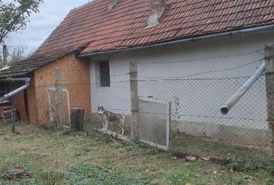 Casa de vanzare str salcamului nr 68 - 7